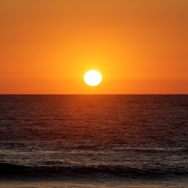 Hossegor Summer<br>4 Luglio>19 Settembre