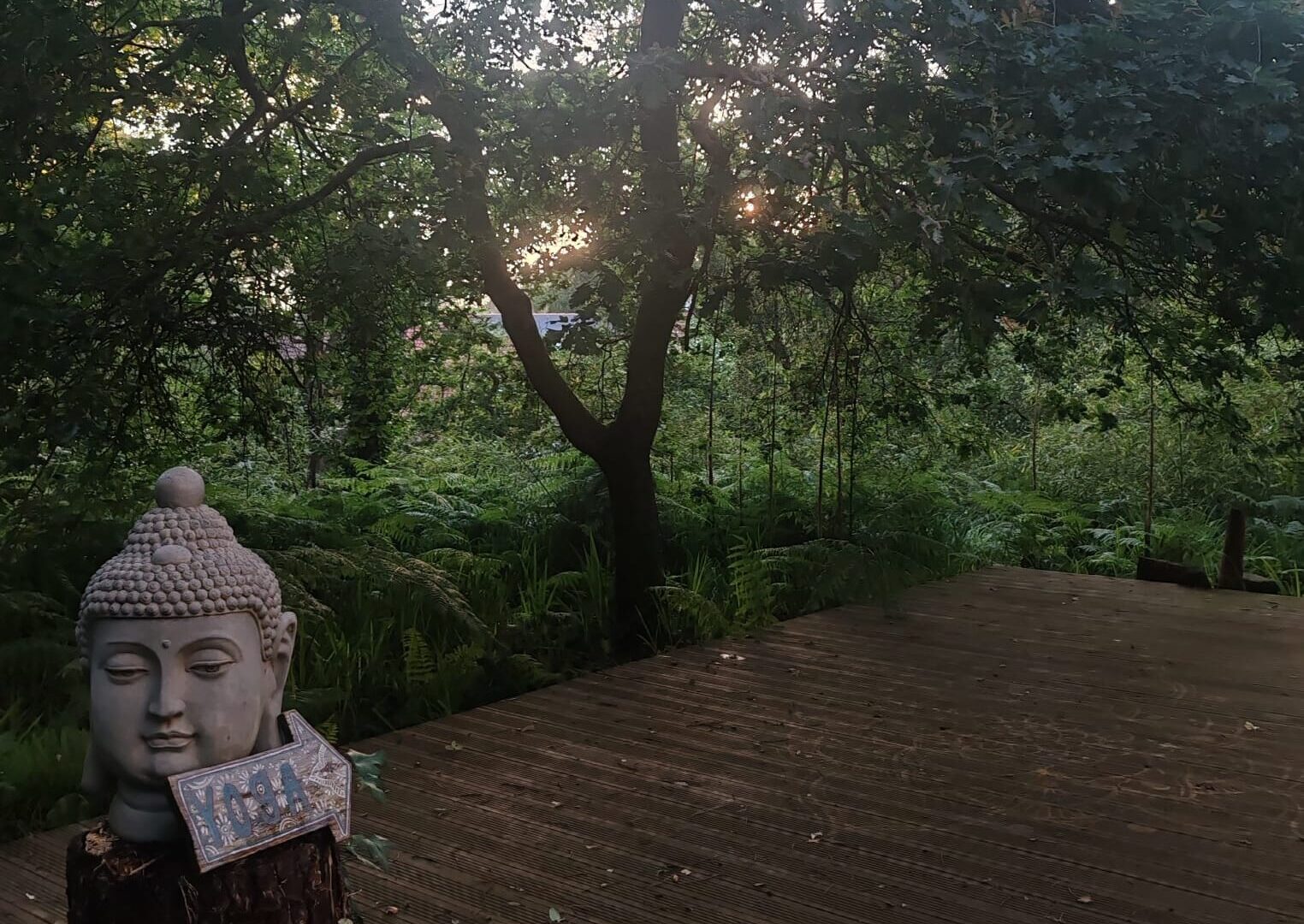 WhatsApp Image 2024-12-08 at 16.59.35