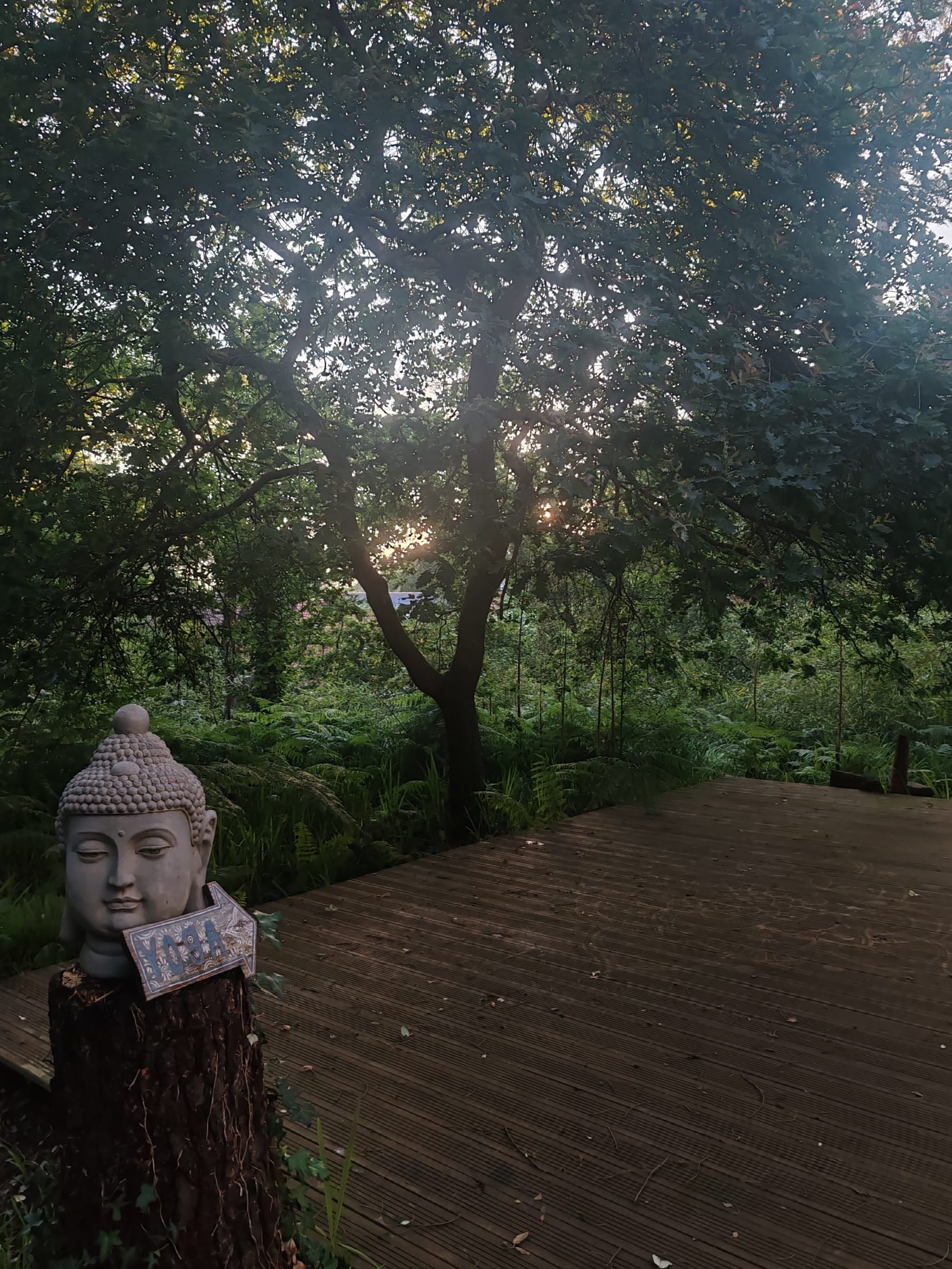 WhatsApp Image 2024-12-08 at 16.59.35